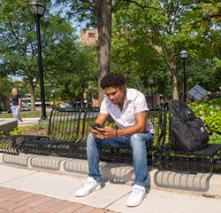 Student sitting on bench looking at his phone