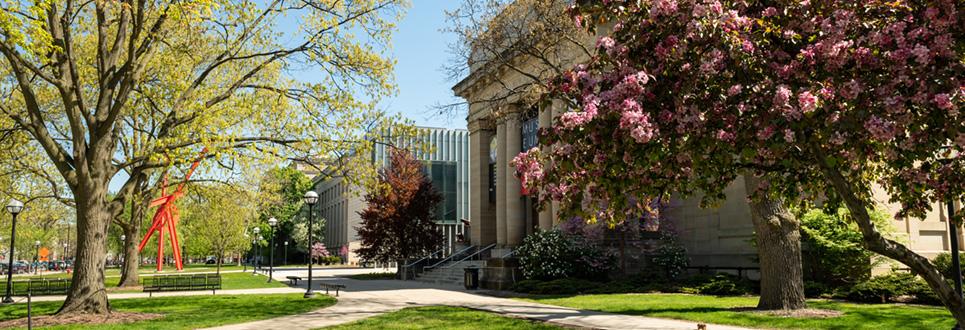 Museum of Art building with trees in bloom