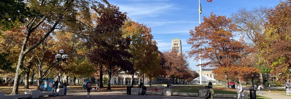 Diag in the Fall