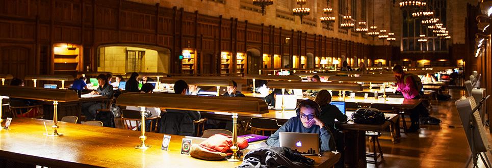 Studying in Law quad reading room